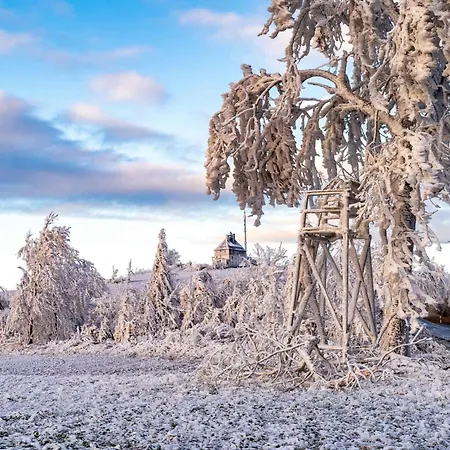 In Dorfchemnitz Bei Sayda 3110 * Voigtsdorf