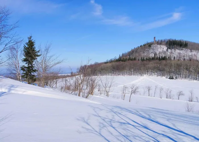 In Dorfchemnitz Bei Sayda 3110 Apartment Voigtsdorf
