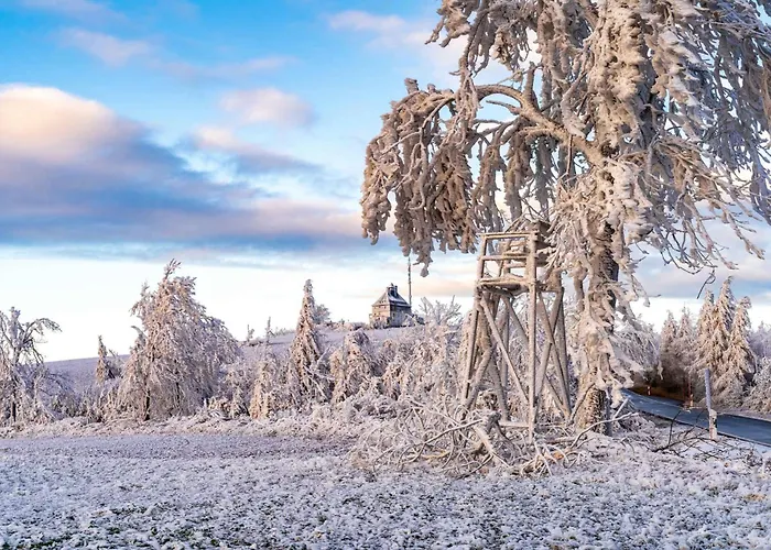 In Dorfchemnitz Bei Sayda 3110 * Voigtsdorf